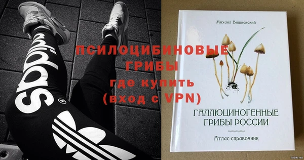 apvp Осинники