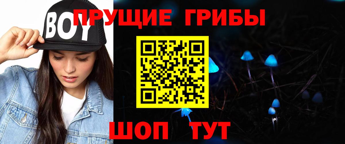 Белгород  Галлюциногенные грибы прущие грибы  Вход с VPN 